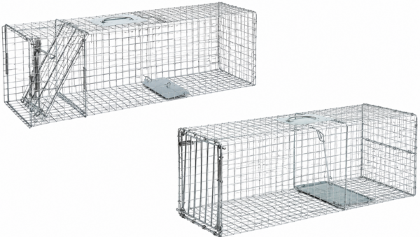 Duke Humane Live Cage Traps | Heavy Duty Animal Traps
