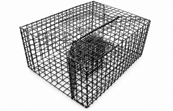 Pinfish Trap 18" x 14" x 8"